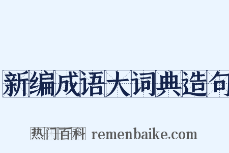 新编成语大词典造句是什么意思的图片